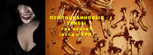 гидропоника Нефтекумск