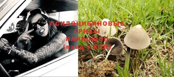 крисы Алзамай