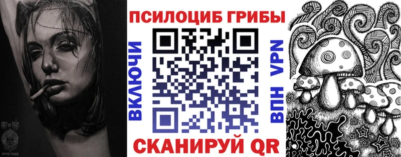 МЕГА tor  Зуевка  Псилоцибиновые грибы GOLDEN TEACHER 